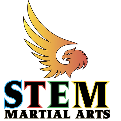 STEM Martial Arts Summer Camp